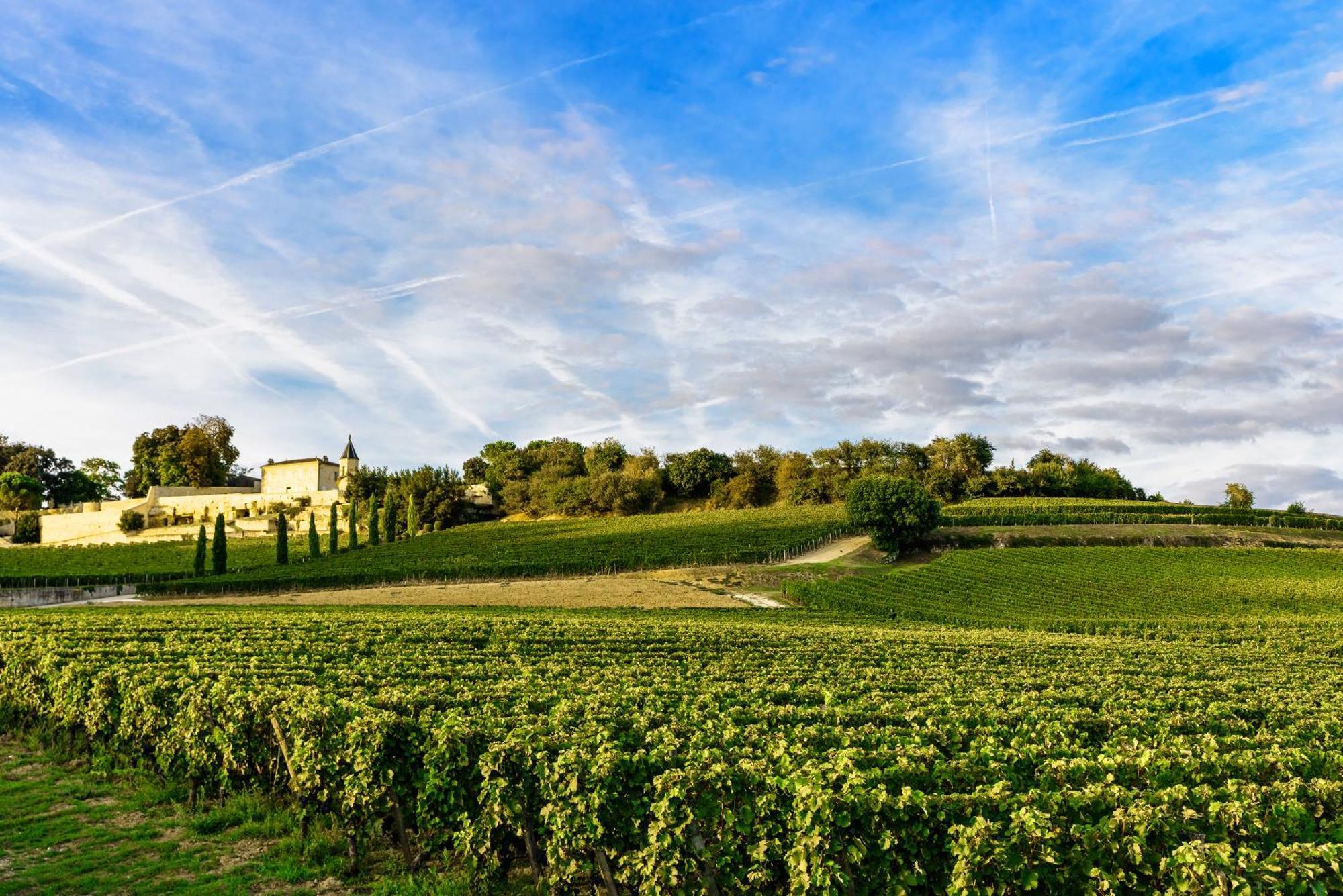 Clos 1906 Saint-Émilion Buitenkant foto
